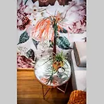 A&k Cozy Art 1 Lägenhet Varna